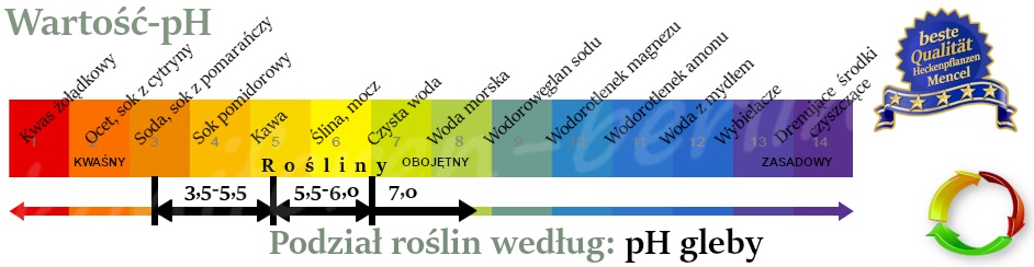 Podział roślin według pH wartości pH gleby 
