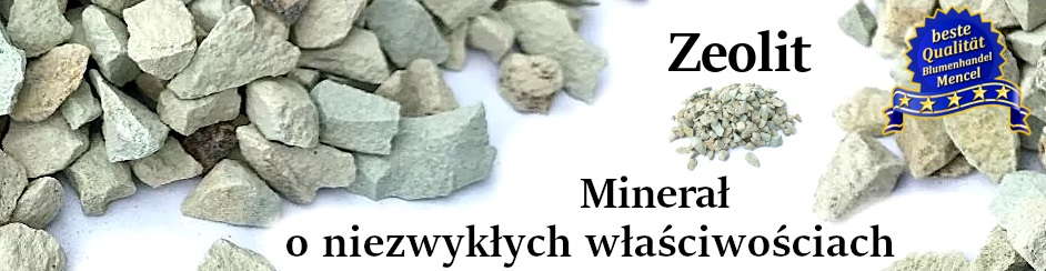 Zeolit minerał o niezwykłych właściwościach