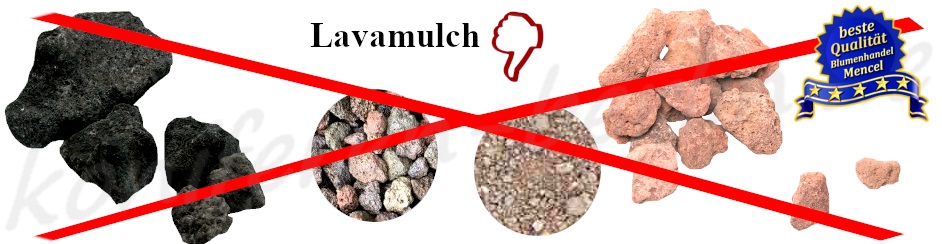 Lavamulch 