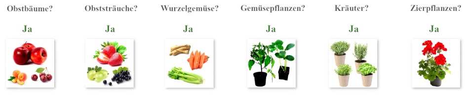 Symbivit Herbs Kräuter Endo Mykorrhiza 