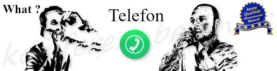 Telefon 